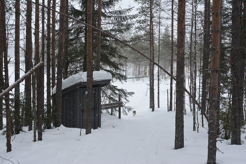 Polku Tiilikkajärven kansallispuistossa talvella.
