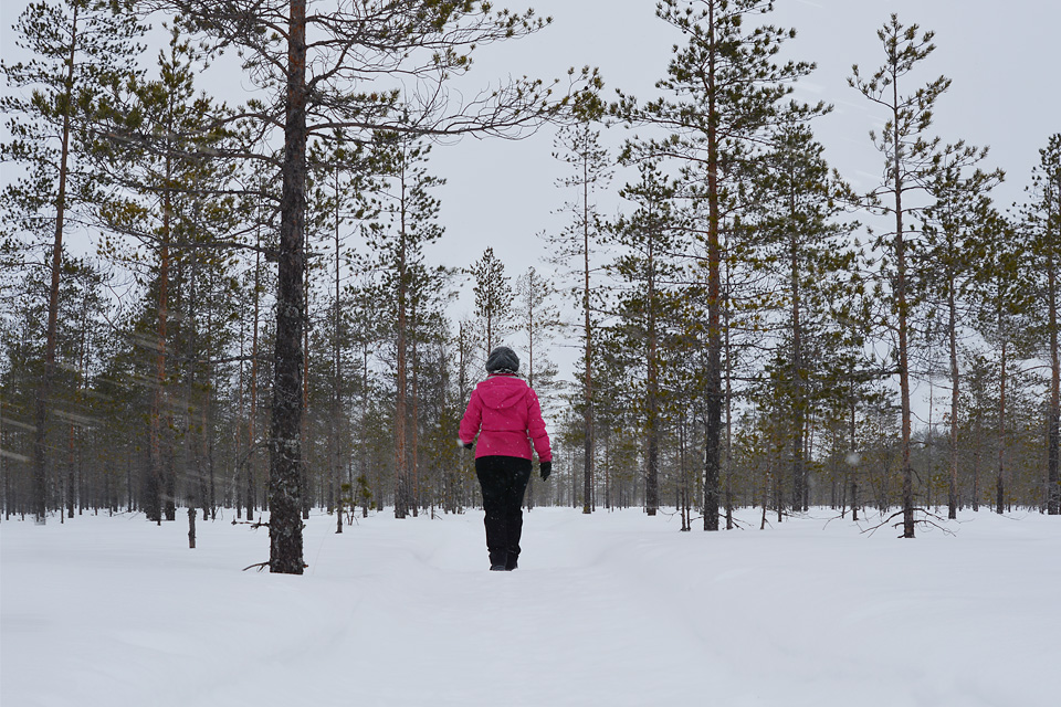 Kävellen Tiilikkajärven kansallispuistossa talvella.