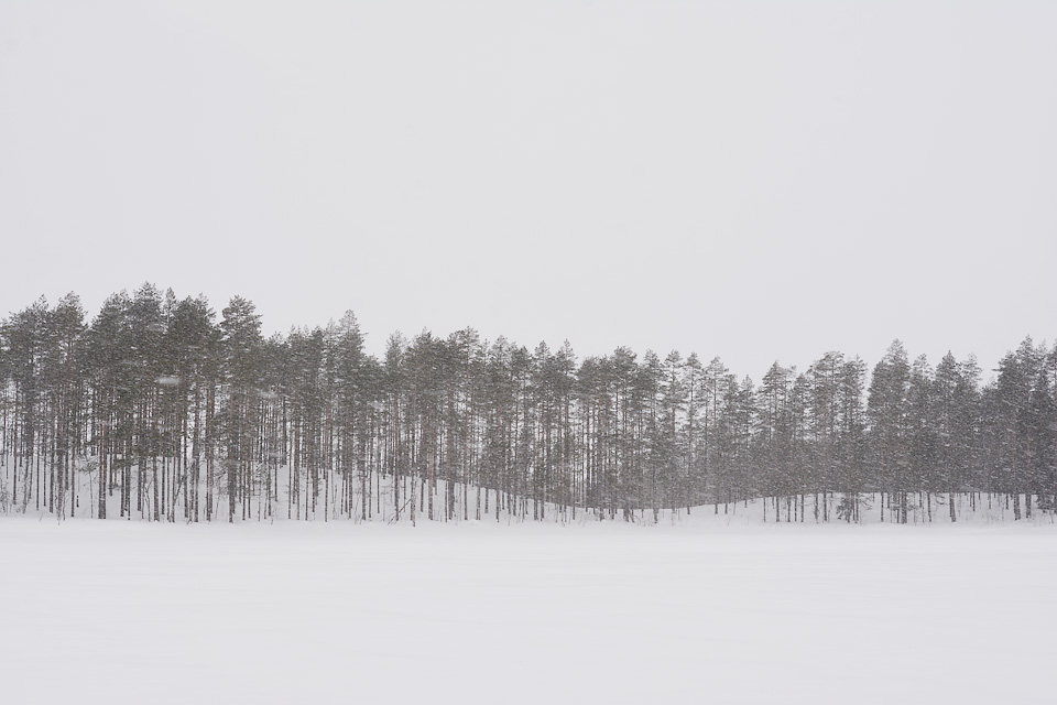 Tiilikkajärven kansallispuisto talvella ja harjannemaisema.