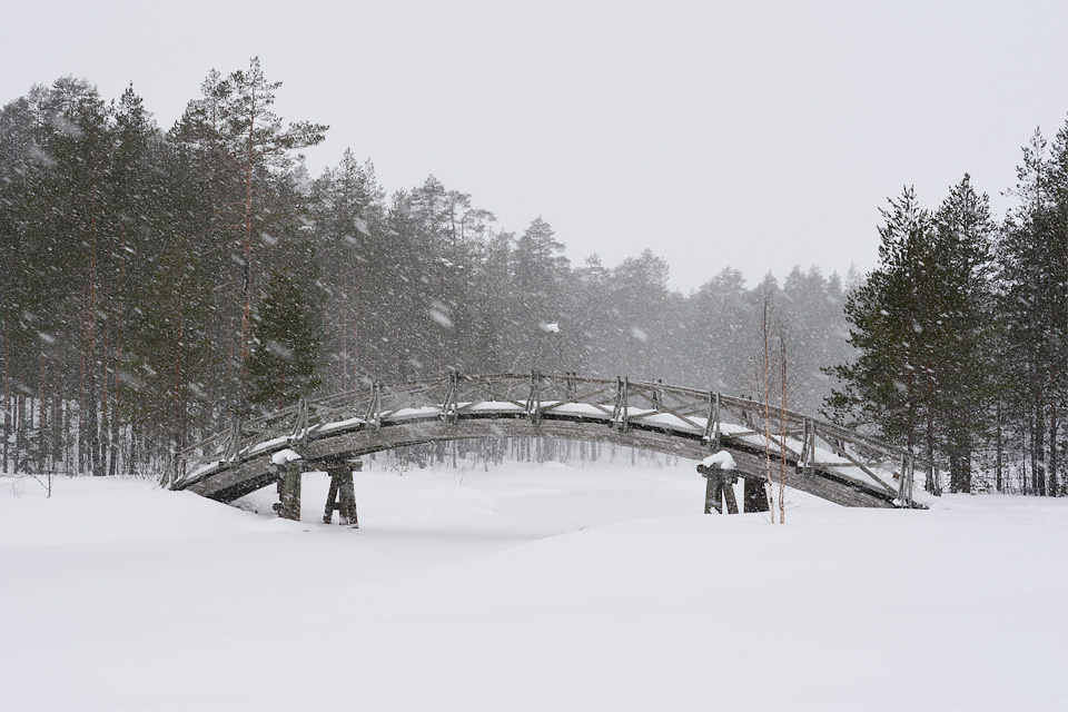 Silta Tiilikkajärven kansallispuistossa.