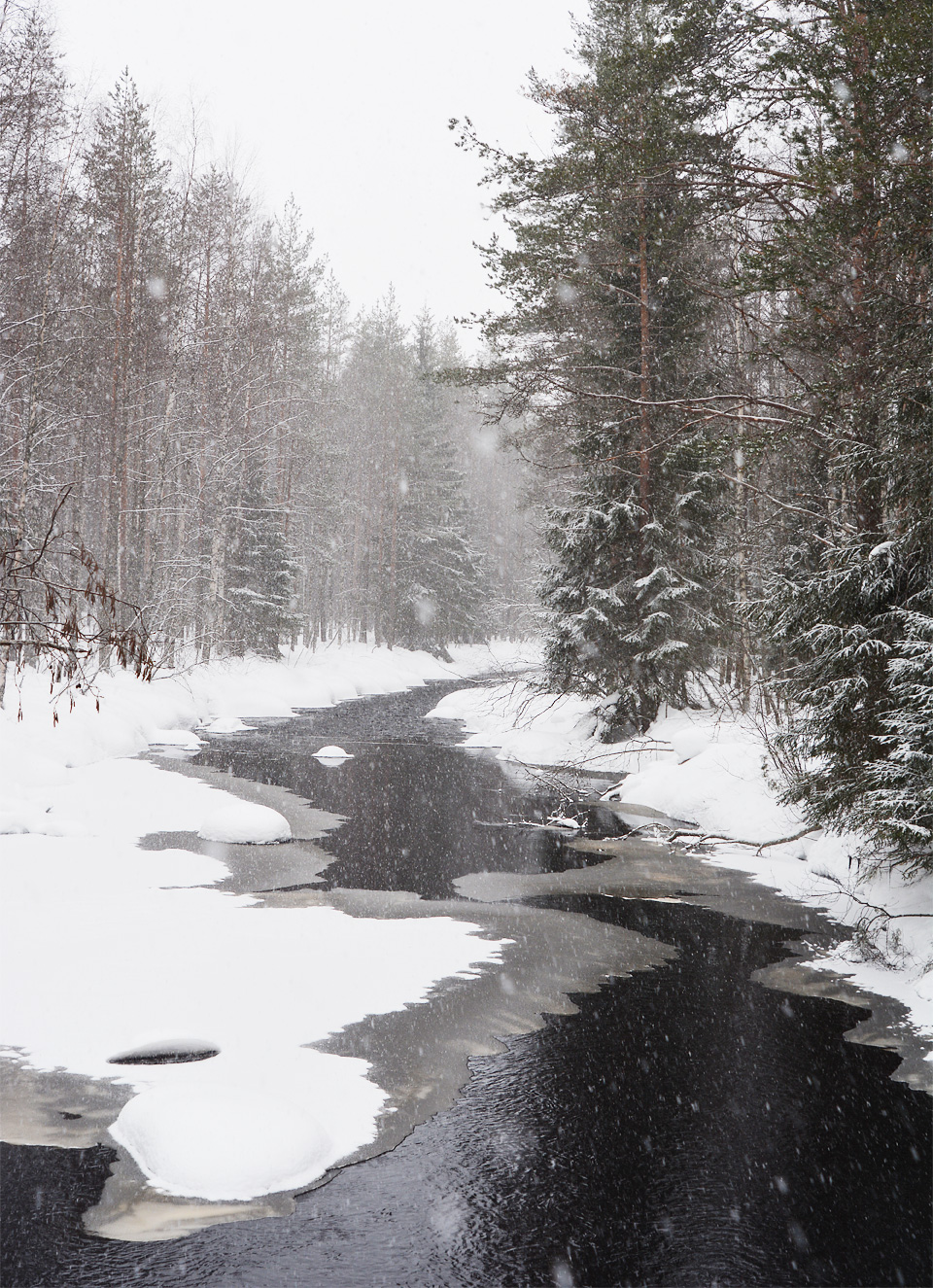 Joki Tiilikkajärven kansallispuistossa talvella.